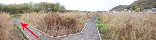 Photograph of Walking Route - Image 7