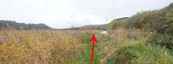 Photograph of Walking Route - Image 8