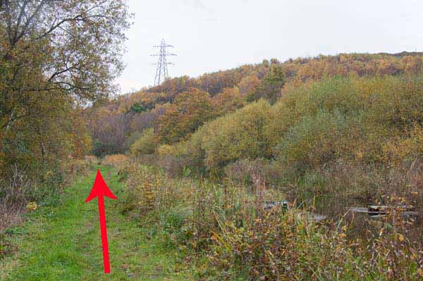 Photograph of Walking Route - Image 11