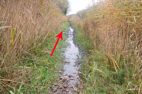 Photograph of Walking Route - Image 27