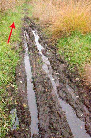 Photograph of Walking Route - Image 28