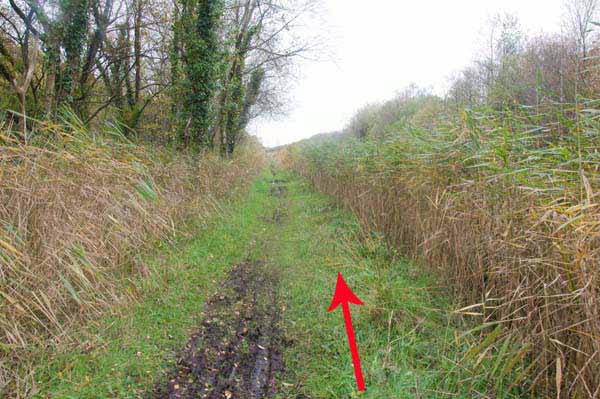 Photograph of Walking Route - Image 29