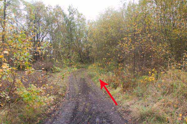 Photograph of Walking Route - Image 34