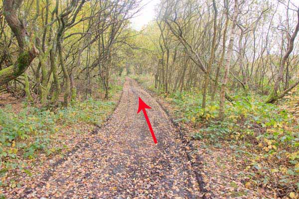 Photograph of Walking Route - Image 35