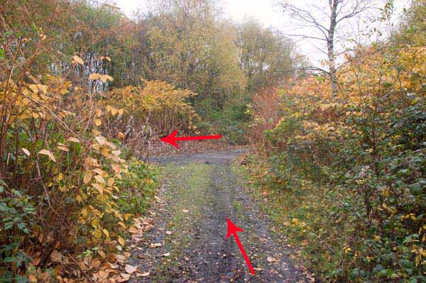 Photograph of Walking Route - Image 36