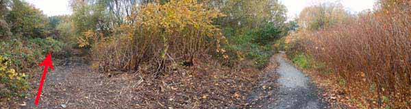 Photograph of Walking Route - Image 37