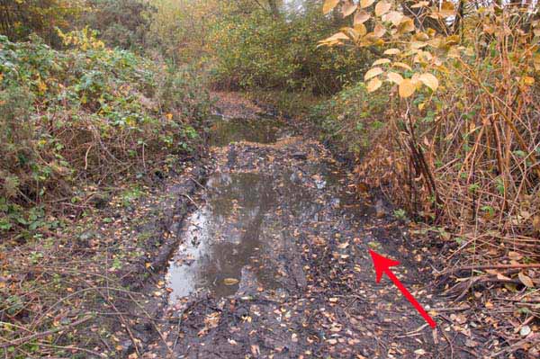 Photograph of Walking Route - Image 38