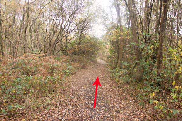 Photograph of Walking Route - Image 39