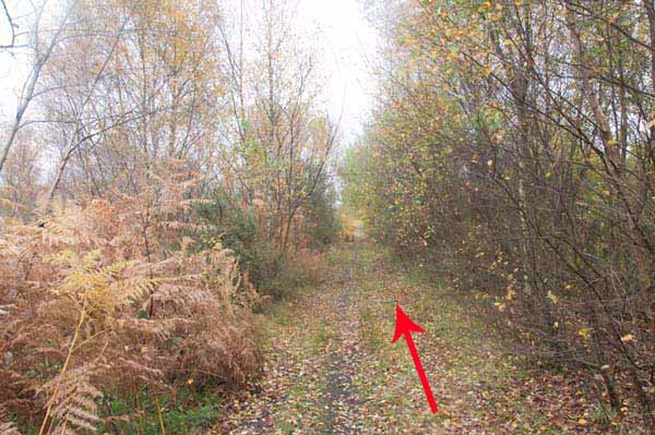 Photograph of Walking Route - Image 40