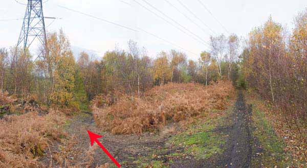 Photograph of Walking Route - Image 41