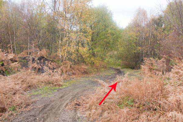 Photograph of Walking Route - Image 42