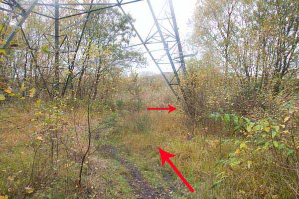 Photograph of Walking Route - Image 43