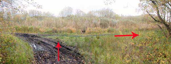 Photograph of Walking Route - Image 44