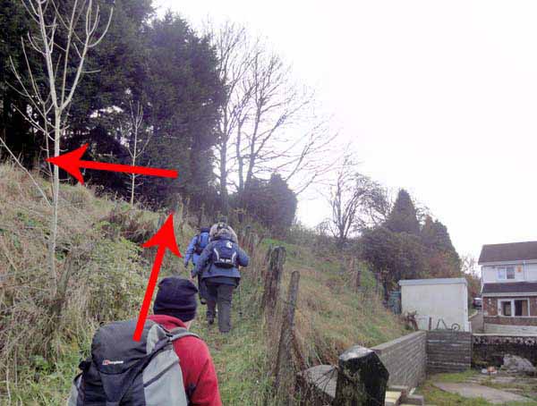 Photograph of Walking Route - Image 4