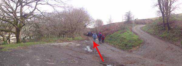 Photograph of Walking Route - Image 6