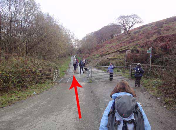 Photograph of Walking Route - Image 7