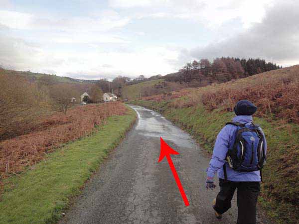 Photograph of Walking Route - Image 11