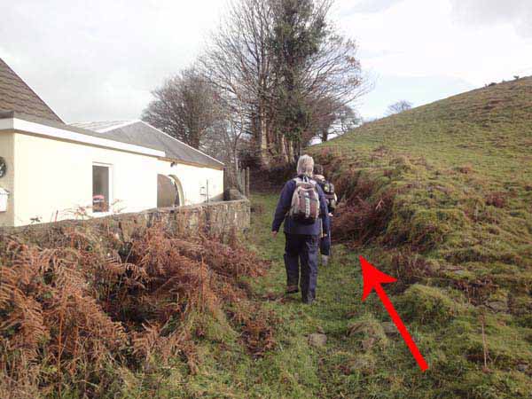 Photograph of Walking Route - Image 13