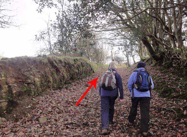 Photograph of Walking Route - Image 14