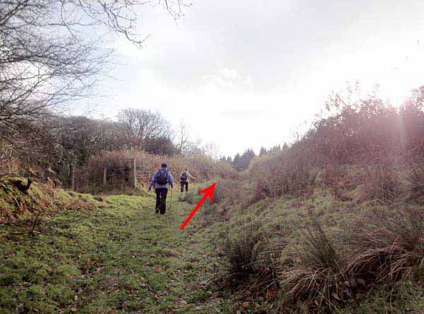 Photograph of Walking Route - Image 15