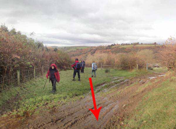 Photograph of Walking Route - Image 16