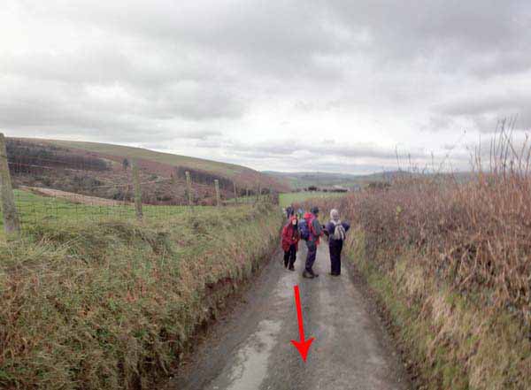 Photograph of Walking Route - Image 18