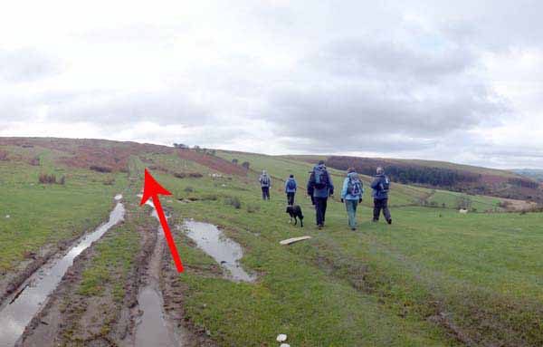 Photograph of Walking Route - Image 23