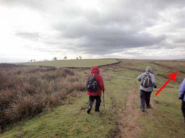 Photograph of Walking Route - Image 30