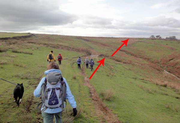 Photograph of Walking Route - Image 31