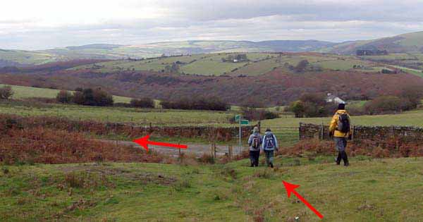 Photograph of Walking Route - Image 36