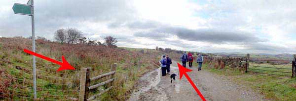 Photograph of Walking Route - Image 37