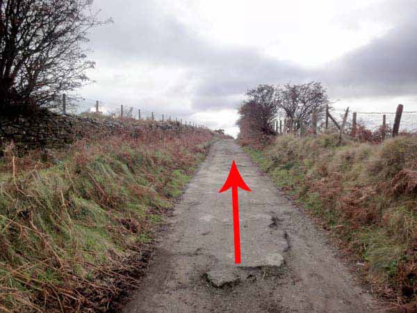 Photograph of Walking Route - Image 38