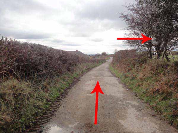 Photograph of Walking Route - Image 39