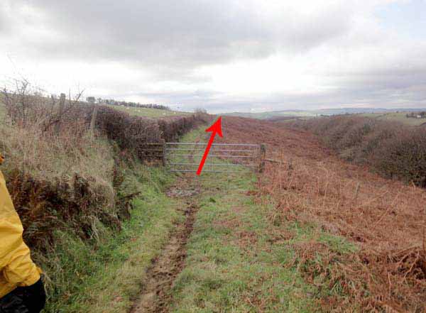 Photograph of Walking Route - Image 42