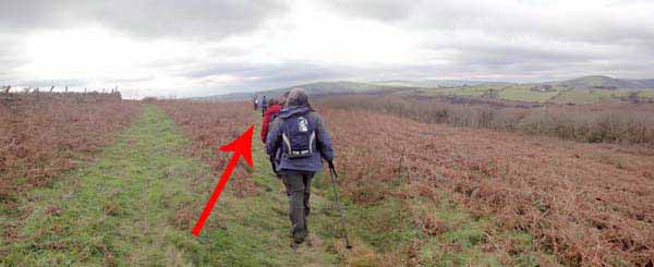 Photograph of Walking Route - Image 43