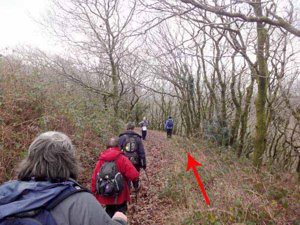 Photograph of Walking Route - Image 44