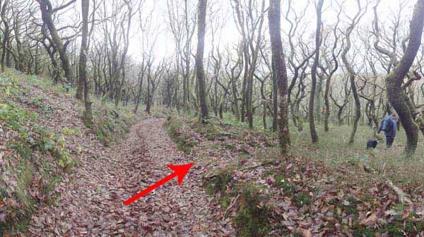 Photograph of Walking Route - Image 45