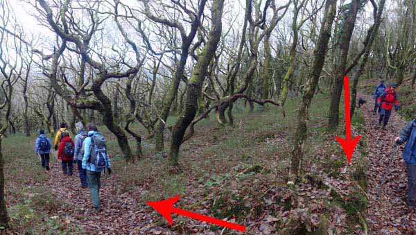 Photograph of Walking Route - Image 46