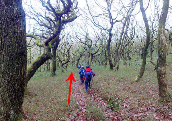 Photograph of Walking Route - Image 47