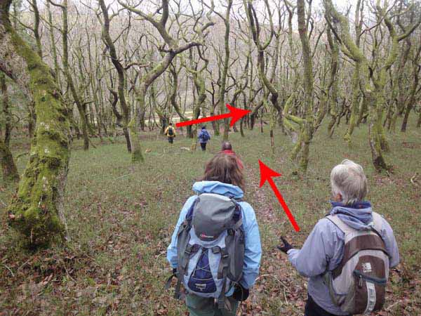 Photograph of Walking Route - Image 48