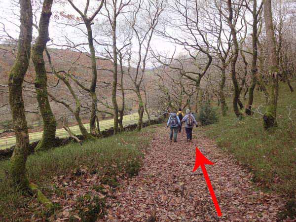 Photograph of Walking Route - Image 49