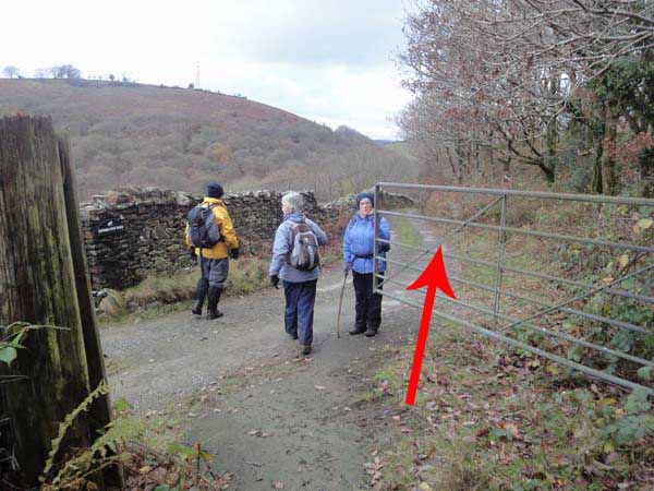 Photograph of Walking Route - Image 50