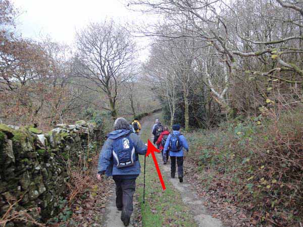 Photograph of Walking Route - Image 51