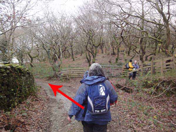 Photograph of Walking Route - Image 52