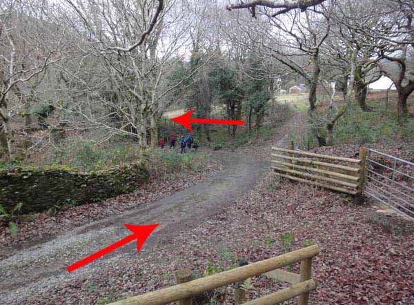 Photograph of Walking Route - Image 53