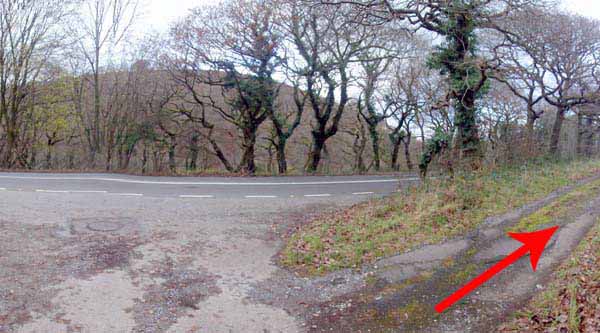 Photograph of Walking Route - Image 55