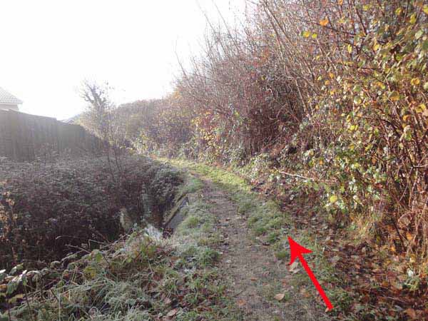 Photograph of Walking Route - Image 2