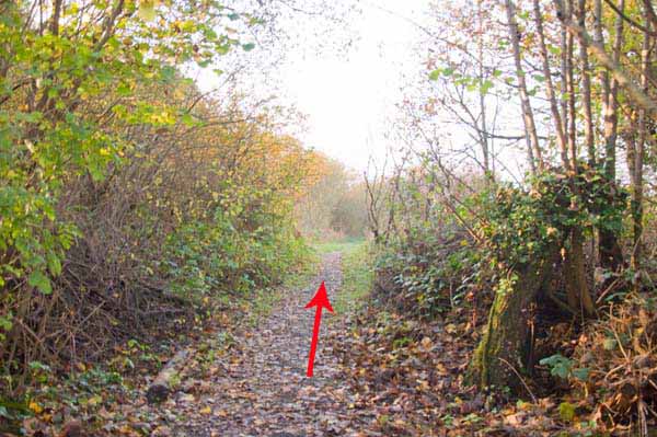 Photograph of Walking Route - Image 4