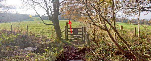 Photograph of Walking Route - Image 5