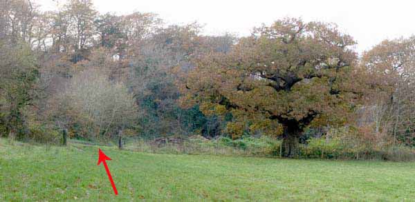 Photograph of Walking Route - Image 7